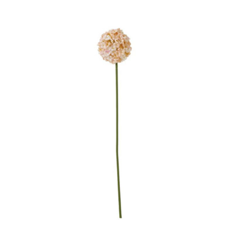 Image of Hill Interiors The Natural Garden Collection Allium Artificial Flower Apricot/white (One Size)