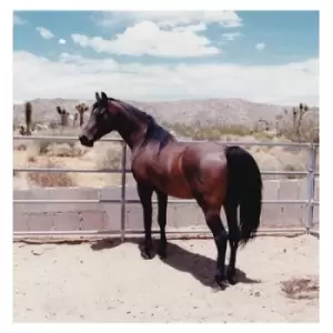 Image of Wand/Darto by Wand/Darto Vinyl Album