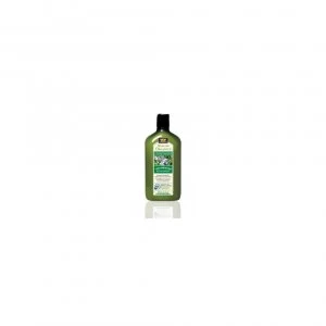 Image of Avalon Organics - Rosemary Volume Conditioner 325ml