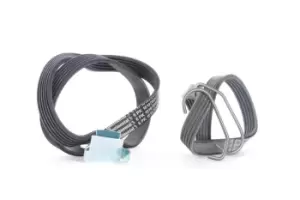 Image of CONTITECH V-ribbed belt set 6PK1019 ELAST T1 Serpentine belt kit,Auxiliary belt kit FORD,MAZDA,Fiesta Mk5 Schragheck (JH1, JD1, JH3, JD3),FUSION (JU_)