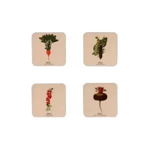 Image of RHS Benary Vegetables Set of 4 Coasters