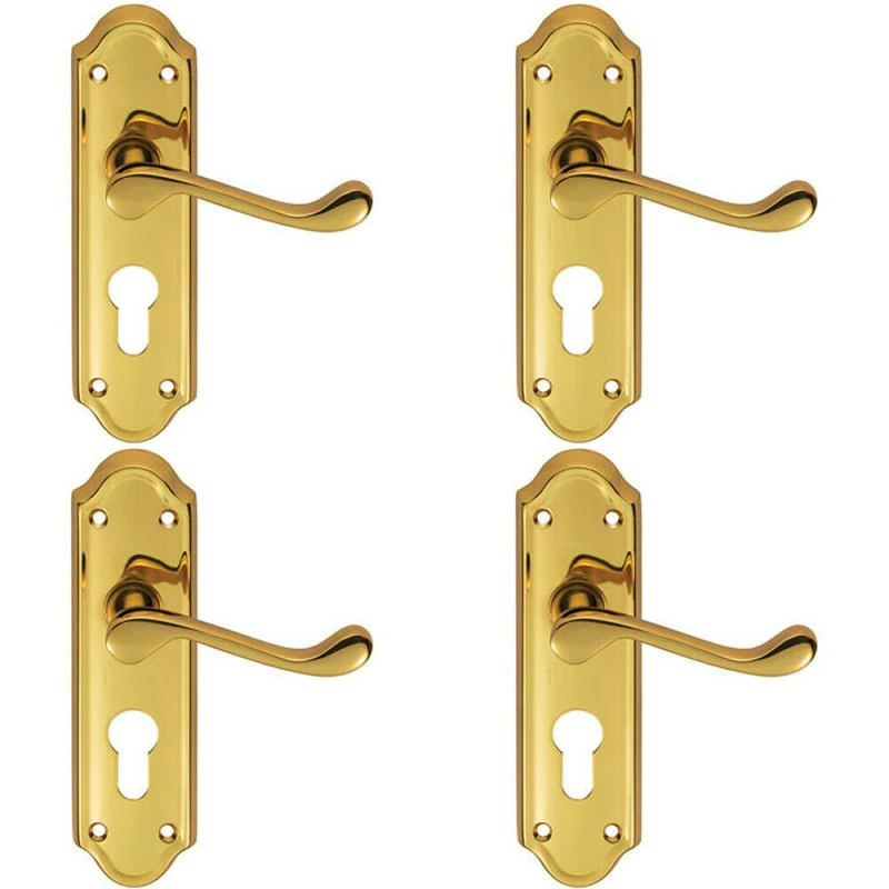 Image of Loops 4x PAIR Victorian Upturned Lever on Euro Lock Backplate 168 x 47mm Brass Metallics