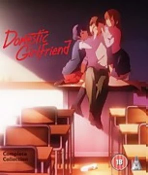 Image of Domestic Girlfriend Collection