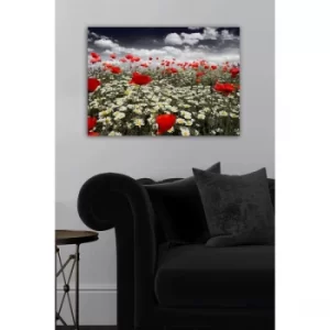 Image of 140260873-5070 Multicolor Decorative Canvas Painting
