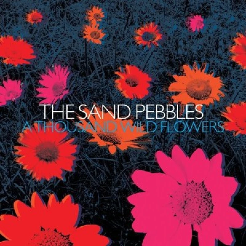 Image of The Sand Pebbles - A Thousand Wild Flowers CD Album - Used