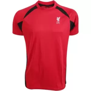 Image of Liverpool FC Unisex Adult Panel Polyester T-Shirt (S) (Red/Black)