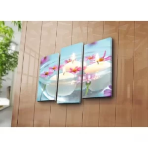 Image of 3PATK-21 Multicolor Decorative Canvas Painting (3 Pieces)