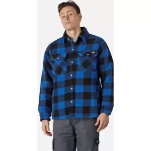 Image of Dickies Portland Shirt Royal Blue M