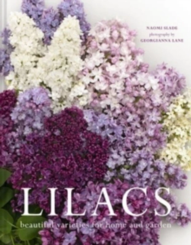 Image of Lilacs : Beautiful varieties for home and garden Hardback