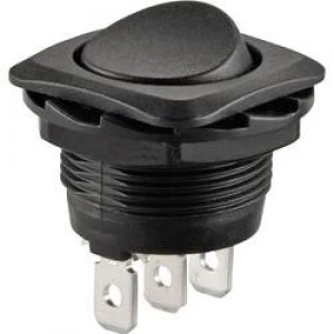 Image of Toggle switch 250 V AC 10 A 1 x OnOn SCI R13 135C