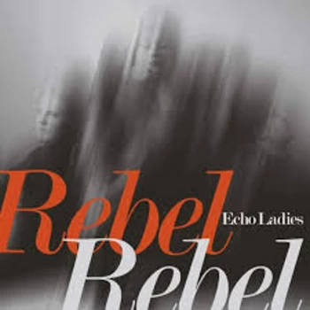 Image of Echo Ladies - Overrated / Rebel Rebel Vinyl