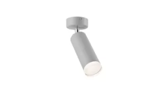 Image of Felix Adjustable Single Spotlight Silver, 1x E27