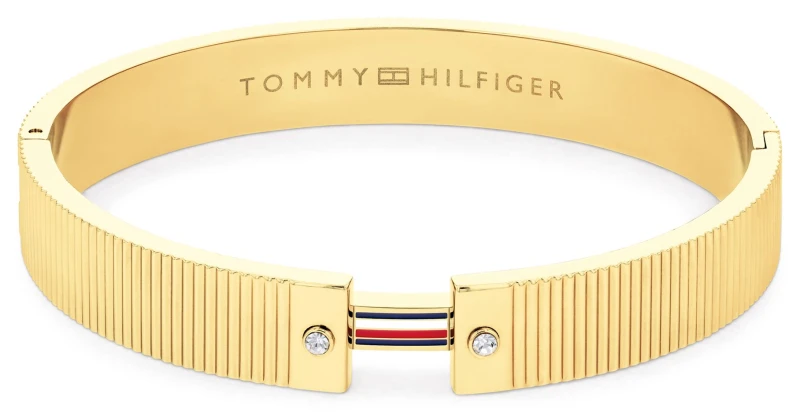 Image of Tommy Hilfiger 2781046 Stripes Chunky Gold-Tone Bracelet Jewellery