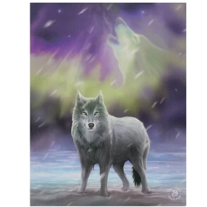 Image of Small Aurora Canvas Picture by Anne Stokes