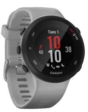 Image of Garmin Forerunner 45 Plus Smartwatch