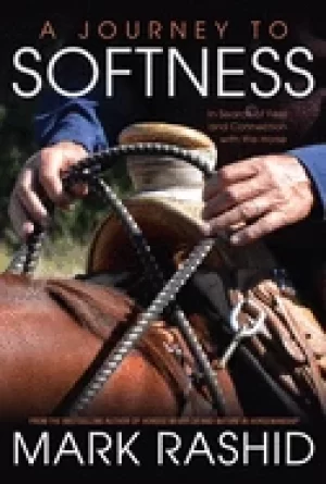 Image of journey to softness in search of feel and connection with the horse