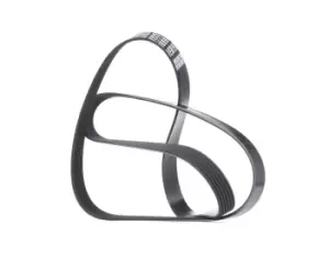 Image of DAYCO V-ribbed belt 6PK1660 Serpentine belt,Auxiliary belt VW,AUDI,BMW,Golf IV Schragheck (1J1),PASSAT Variant (3B6),Golf IV Variant (1J5)