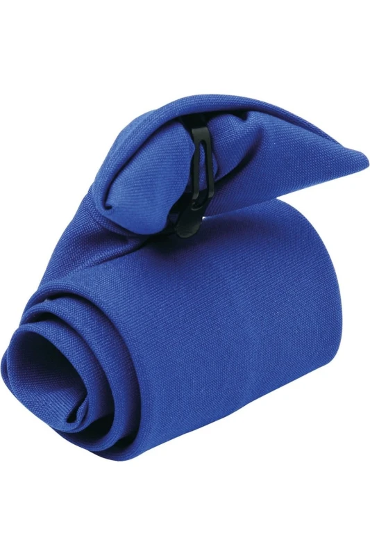 Image of Premier Premier Clip-On Tie in Blue Blue One Size Unisex 5063470683567