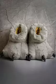 Image of Big Foot Slippers