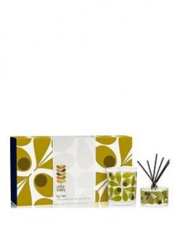Image of Orla Kiely House Acorn Cup Scented Candle 200g