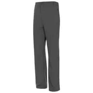 Image of Trespass Mens Canyon Outdoor Trousers (L) (Carbon)