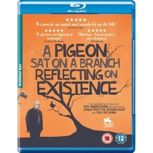 Image of A Pigeon Sat On A Branch Reflecting Upon Existence Bluray