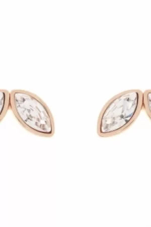 Image of Ted Baker Ladies Rose Gold Plated Genii Geometric Bee Stud Earring TBJ1625-24-16