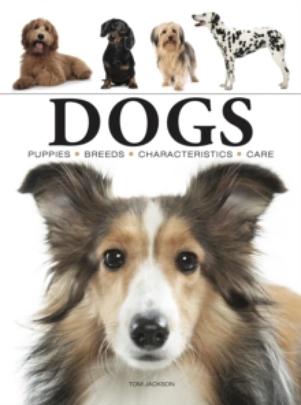 Image of Dogs Paperback / softback
