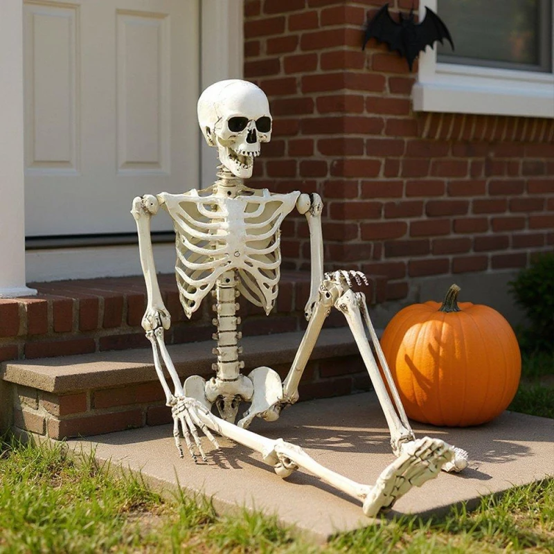 Image of LIFE IDEAS Realistic Skeleton Prop Decoration Posable Joints Halloween One size Distressed White 39274390000