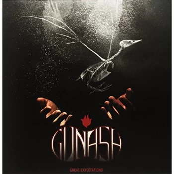 Image of Gunash - Great Expectations Vinyl