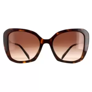 Image of Fashion Tortoise Brown Gradient PR03YS
