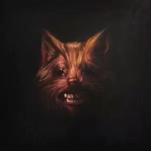 Image of Swans -The Seer Vinyl