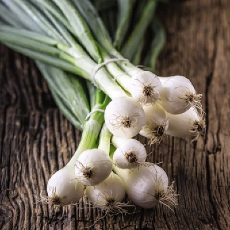 Image of Thompson & Morgan Onion Paris Silverskin 1 Seed Packet