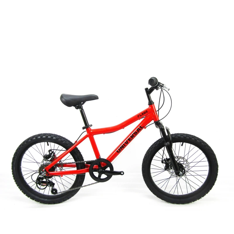 Image of Universal Flare 20 Kids Mountain Bike Black unisex One Size
