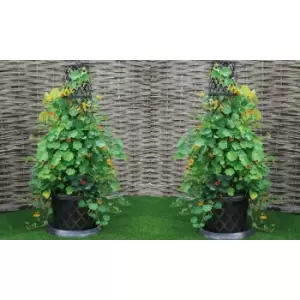Image of Thompson & Morgan Thompson and Morgan Tower Pot Collection - 2 pack