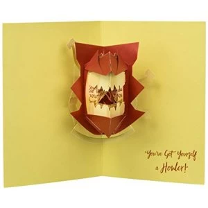 Image of Harry Potter: Howler Pop-Up Card Cards 2018