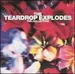 Image of teardrop explodes the collection