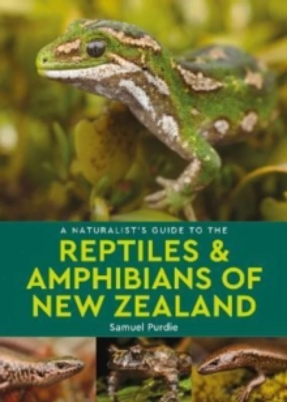 Image of A Naturalist's Guide to the Reptiles & Amphibians Of New Zealand Paperback / softback