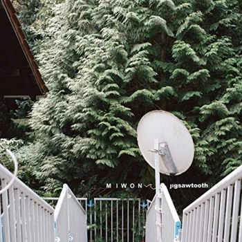 Image of Miwon - Jigsawtooth CD