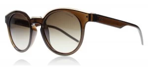 Image of Polaroid Palladium 2036S Sunglasses Brown J7M Polariserade 50mm