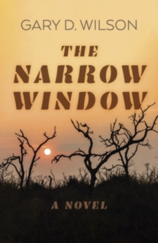 Image of Narrow Window, The - A Novel Paperback / softback
