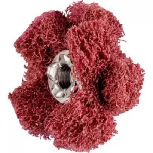 Image of PFERD 44698253 Diameter 25mm 20 pc(s)