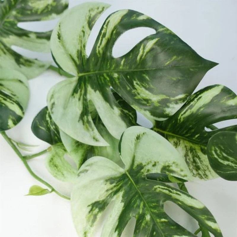 Image of Leaf 6 x 180cm Artificial Hanging Trailing Variegated Monstera Plant Green