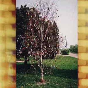 Image of Kraus - A Golden Brain Vinyl