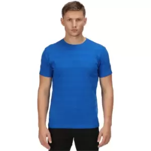Image of Regatta Mens Prestyn Cotton Crew Neck Short Sleeve T Shirt XXL- Chest 46-48' (117-122cm)