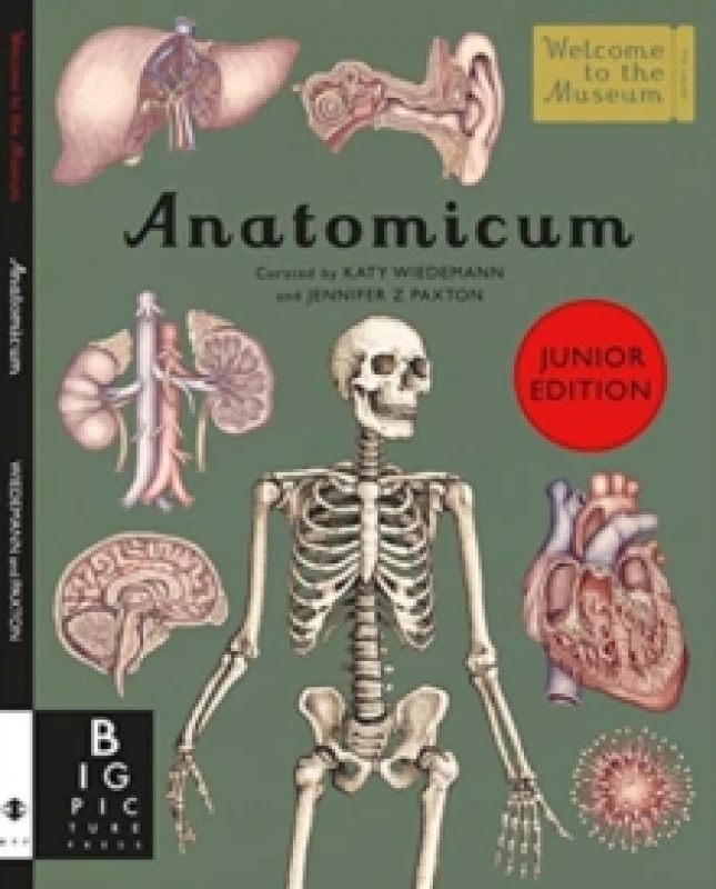 Image of Jennifer Z Paxton Anatomicum Junior Book Multi unisex