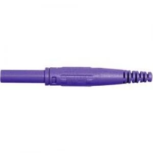 Image of Jack socket Socket straight Pin diameter 4mm Violet Staeubli