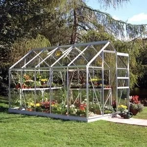 Image of BQ Premier Metal 6x10 Horticultural glass greenhouse