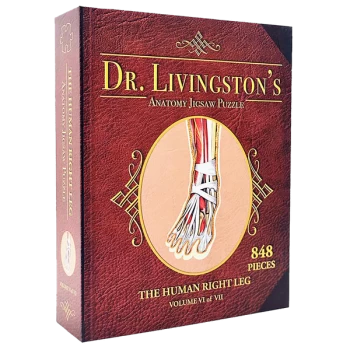 Image of Dr Livingstons Anatomy Volume VI: The Human Right Leg Jigsaw Puzzle - 848 Pieces
