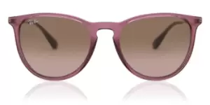 Image of Ray-Ban Sunglasses RB4171 Erika 659114